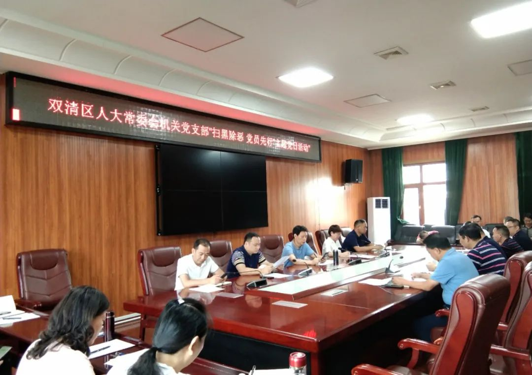 双清区人大常委会机关党支部开展“扫黑除恶·党员先行”主题党日活动_邵阳头条网