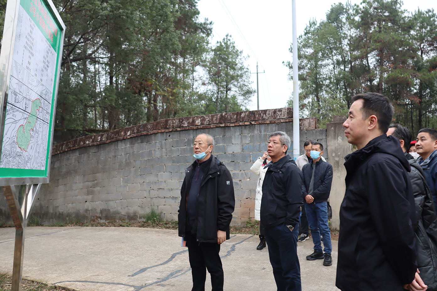 双清区召开2022年松材线虫病疫情拔除专家评定会_邵阳头条网