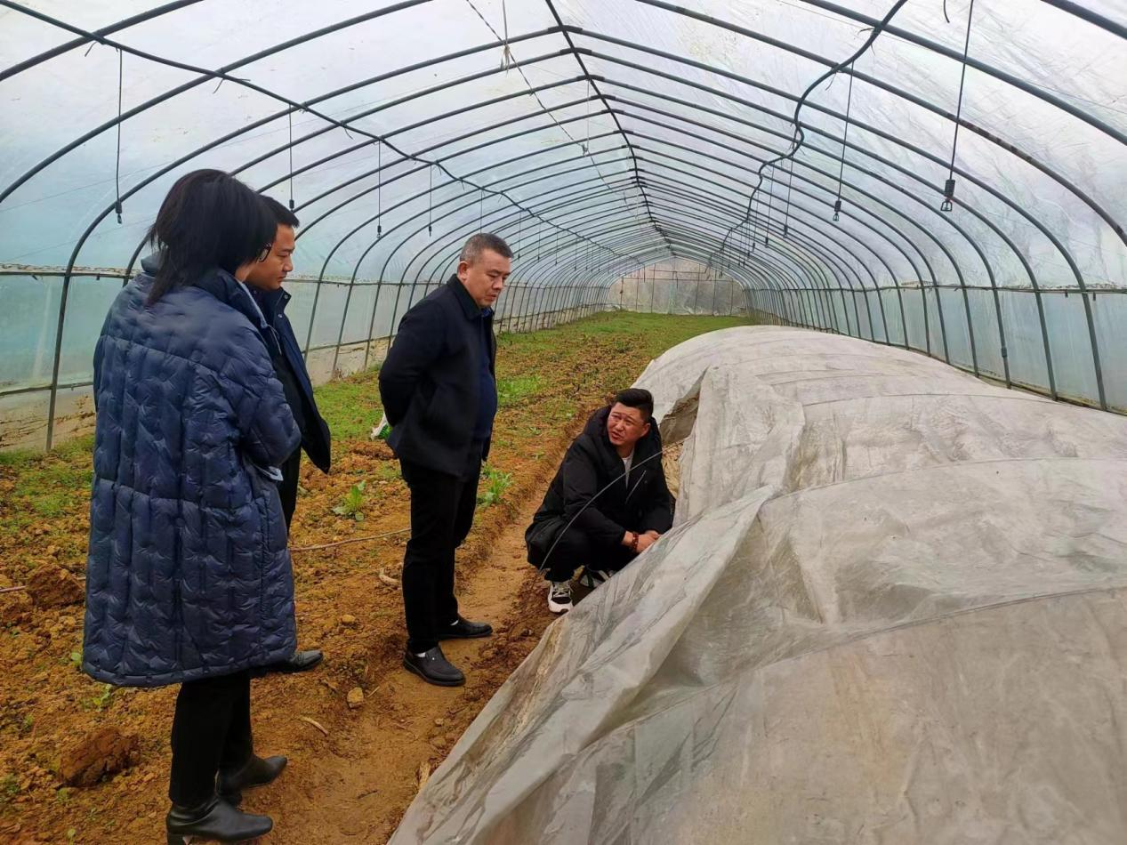 市调研组到双清区渡头桥镇就农业一二三产业融合发展情况进行走访调研_邵阳头条网