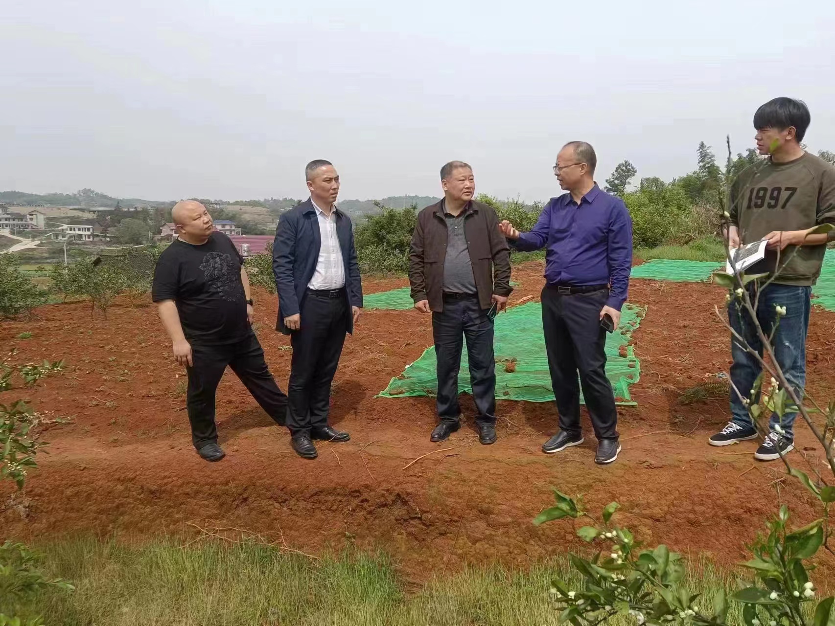 双清区签发田长督办令 扎实推进耕地保护工作_邵阳头条网