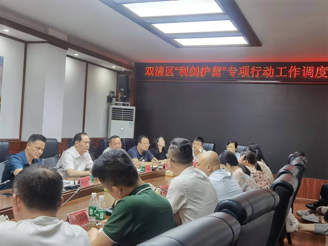 双清区未成年保护工作调度再部署_邵阳头条网