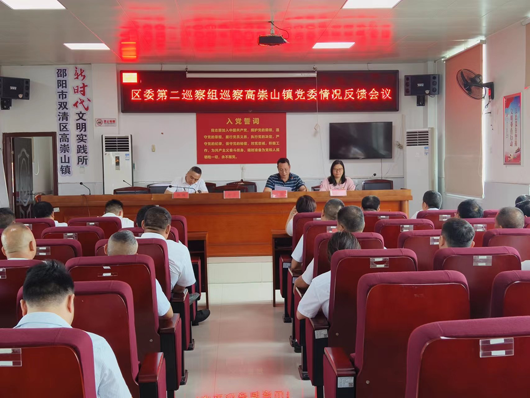 区委第二巡察组向高崇山镇党委反馈巡察情况_邵阳头条网