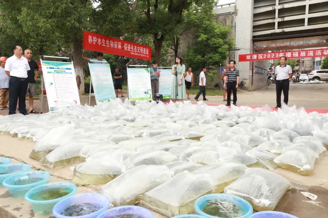 双清区开启2023年增殖放流活动_邵阳头条网