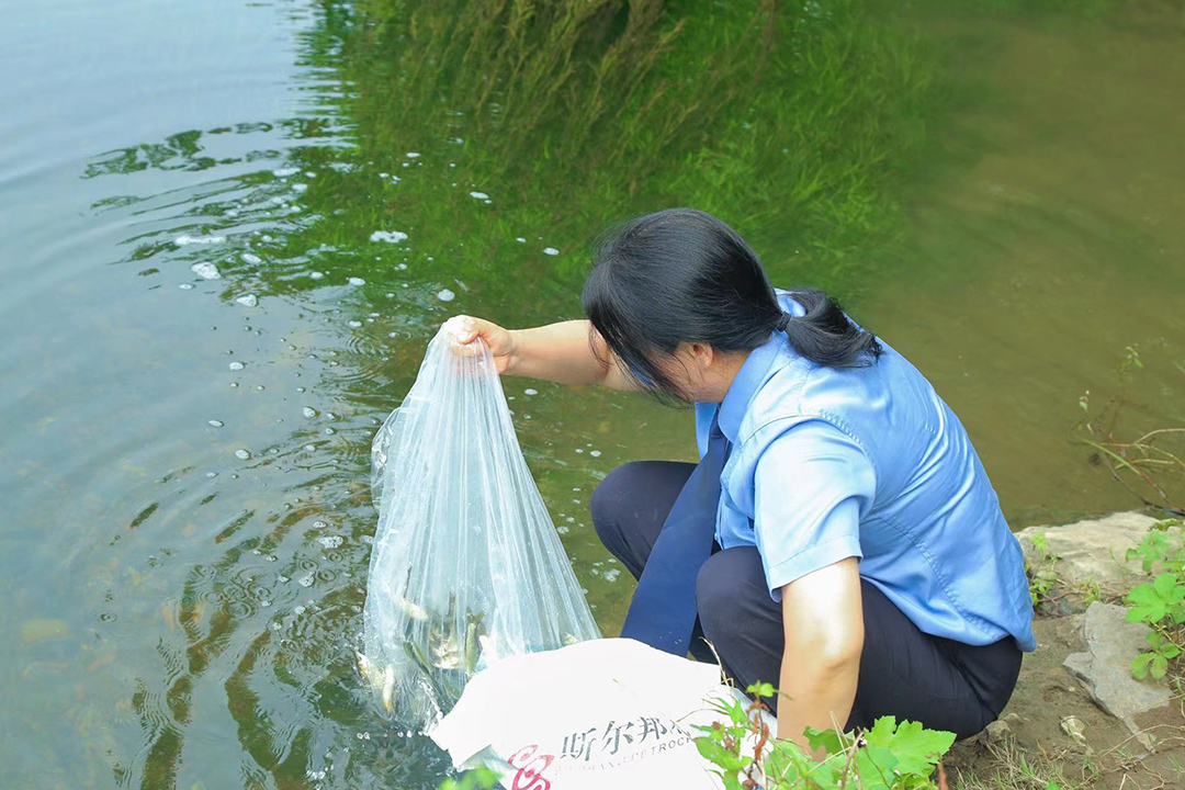 双清检察能动履职，积极助力生态文明_邵阳头条网