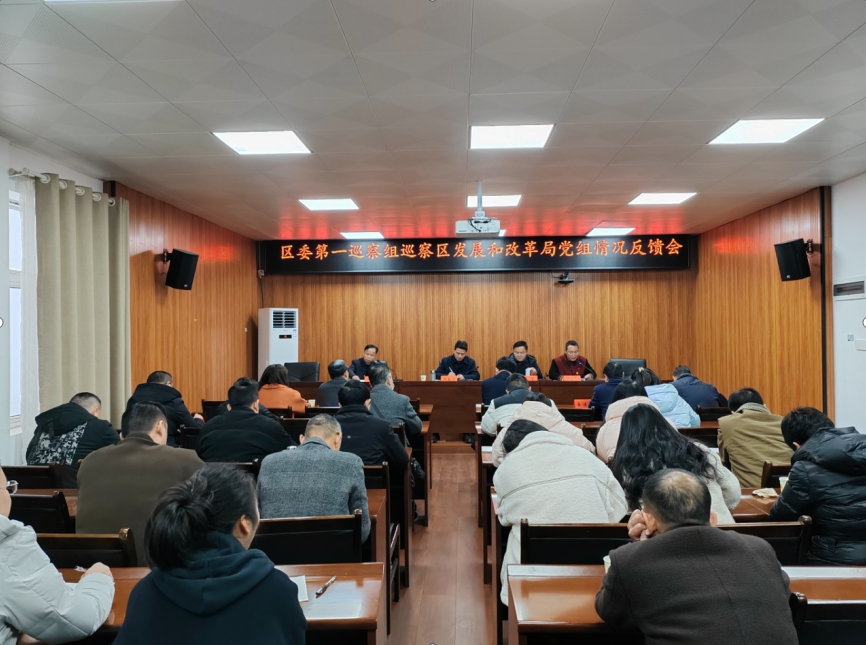 区委第一巡察组向区发改局党组反馈巡察情况_邵阳头条网