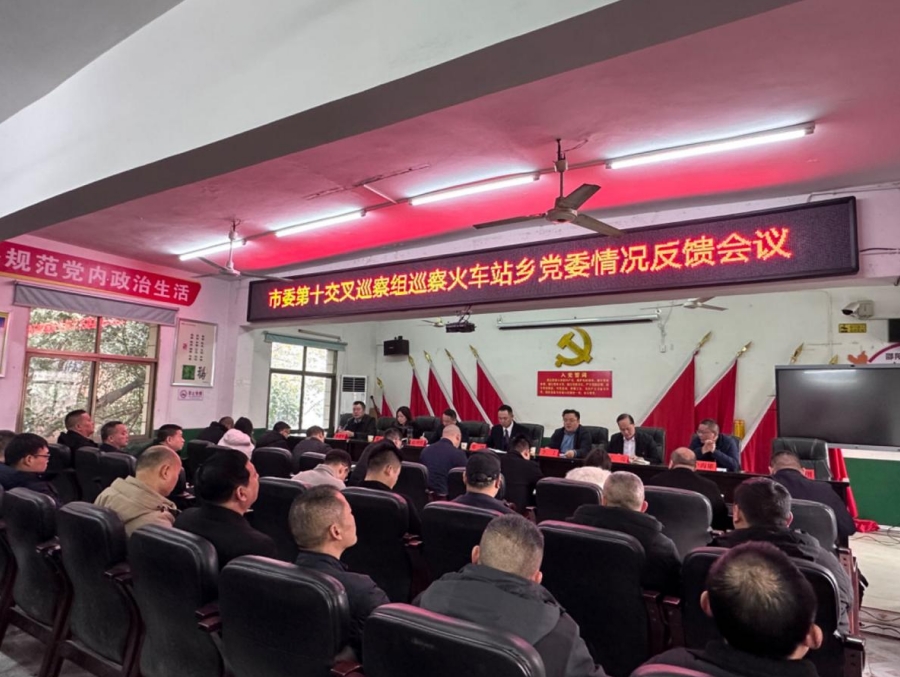 邵阳市委第十交叉巡察组向双清区火车站乡党委反馈巡察情况_邵阳头条网