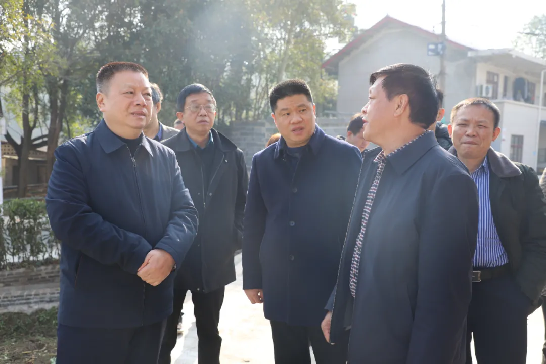 王昌义到双清区调研乡村振兴工作_邵阳头条网