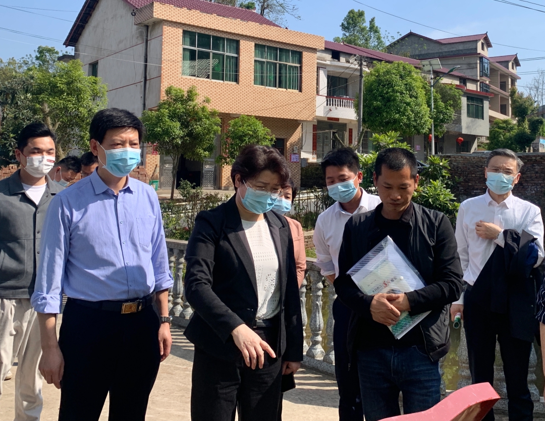 周迎春调研莲荷村乡村振兴示范村创建工作_邵阳头条网