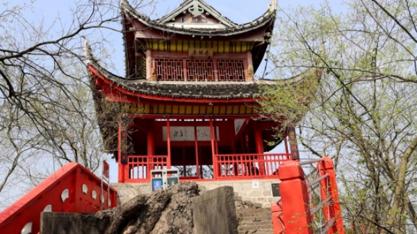 @双清人 解封不等于解防,请听听这几句_邵阳头条网