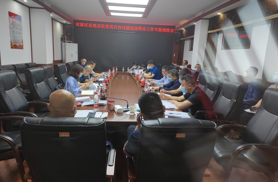 双清区召开巡视巡察发现共性问题提级整改工作专题调度会_邵阳头条网