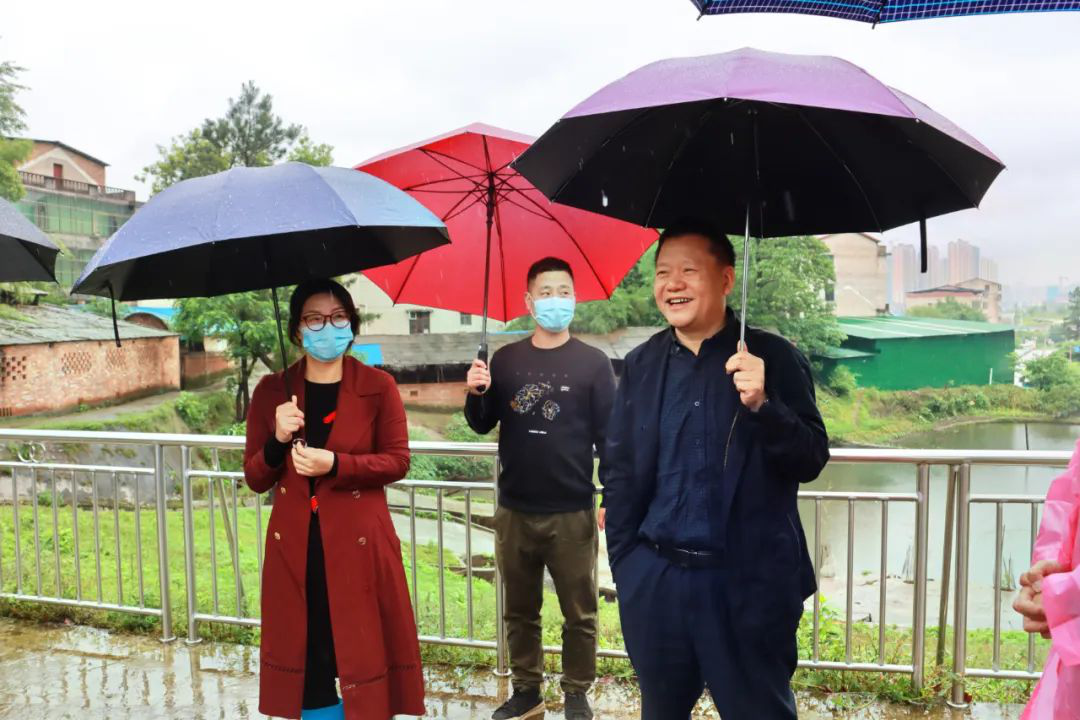 区委书记曾秦伟调研督导防汛备汛、粮食生产、乡村振兴等工作_邵阳头条网