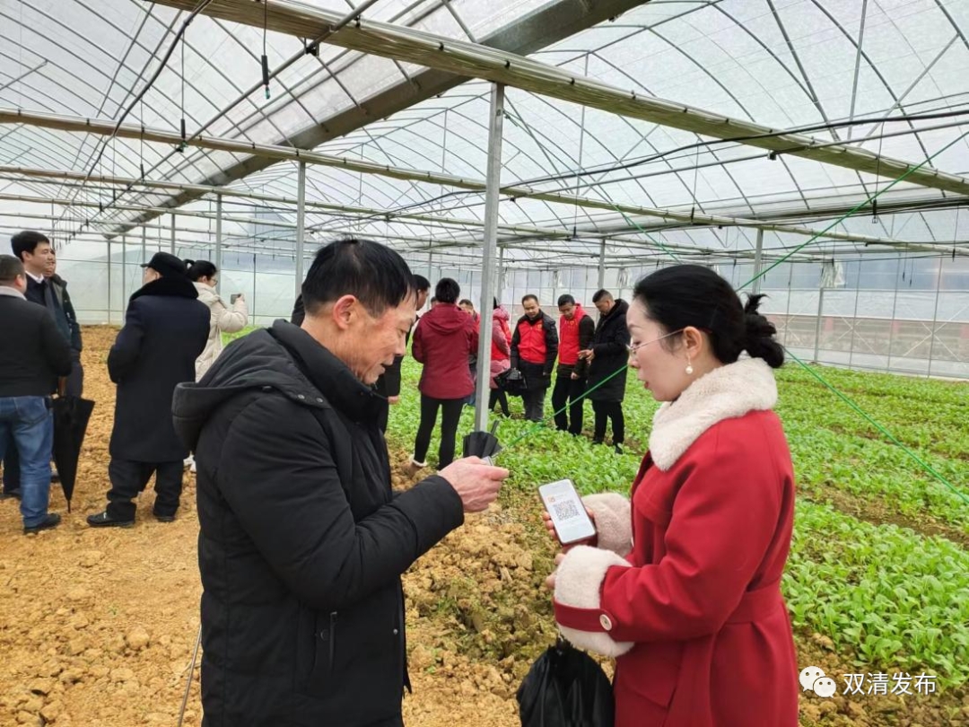 党建串联产业链 群众致富不掉链_邵阳头条网