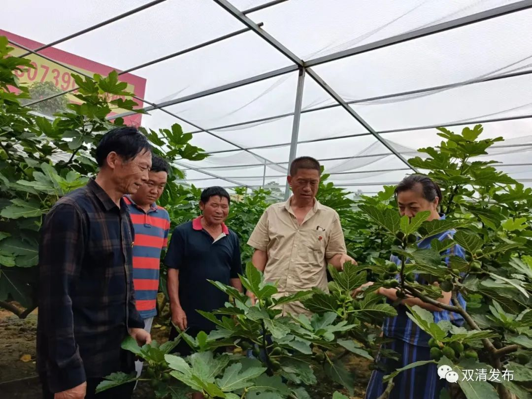 双清区：“三个聚焦”铸造“两新”组织发展“红色引擎”_邵阳头条网