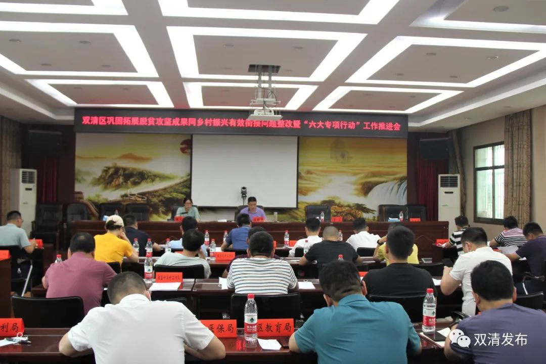 双清区召开巩固拓展脱贫攻坚成果同乡村振兴有效衔接问题整改暨“六大专项行动”工作推进会_邵阳头条网