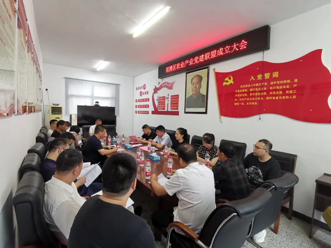 双清区成立农业产业党建联盟，奏响“党建+乡村振兴”合奏曲_邵阳头条网