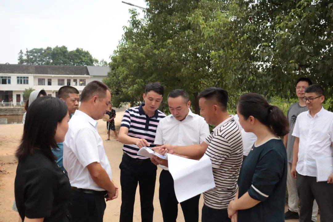 区委书记赵逢春带队调研乡村振兴工作_邵阳头条网