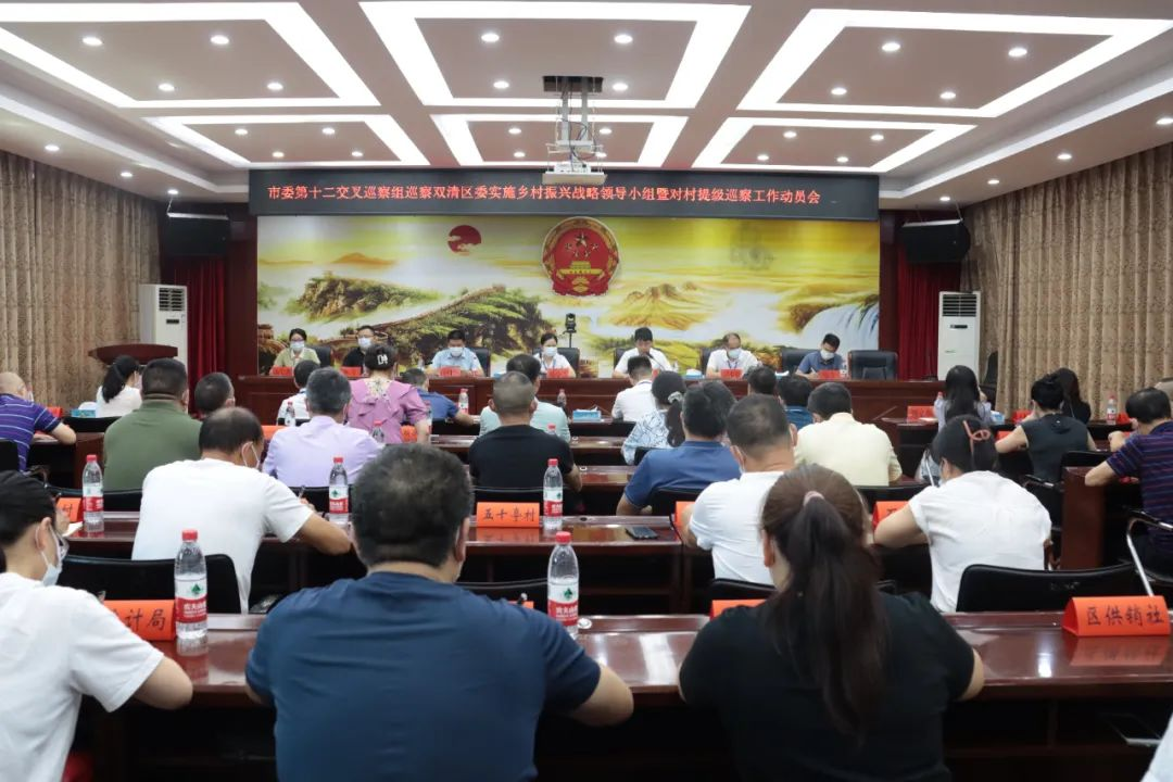 市委第十二交叉巡察组巡察双清区委实施乡村振兴战略领导小组暨对村提级巡察工作动员会召开_邵阳头条网