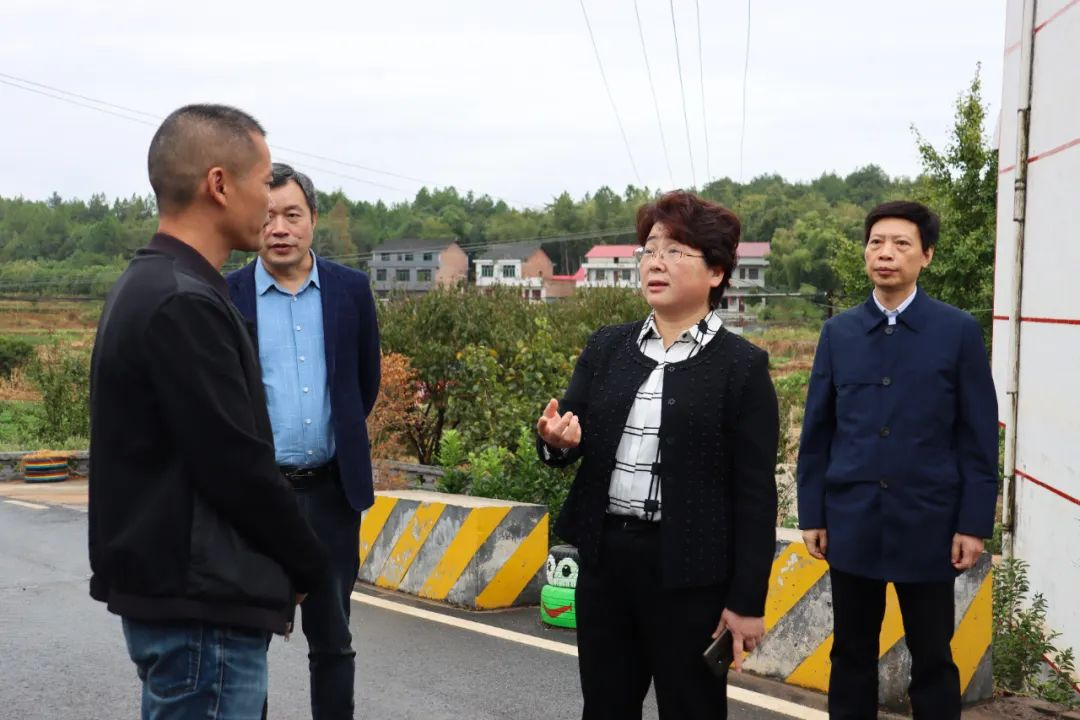 让乡村旅游活起来旺起来|周迎春到双清区调研乡村振兴工作_邵阳头条网