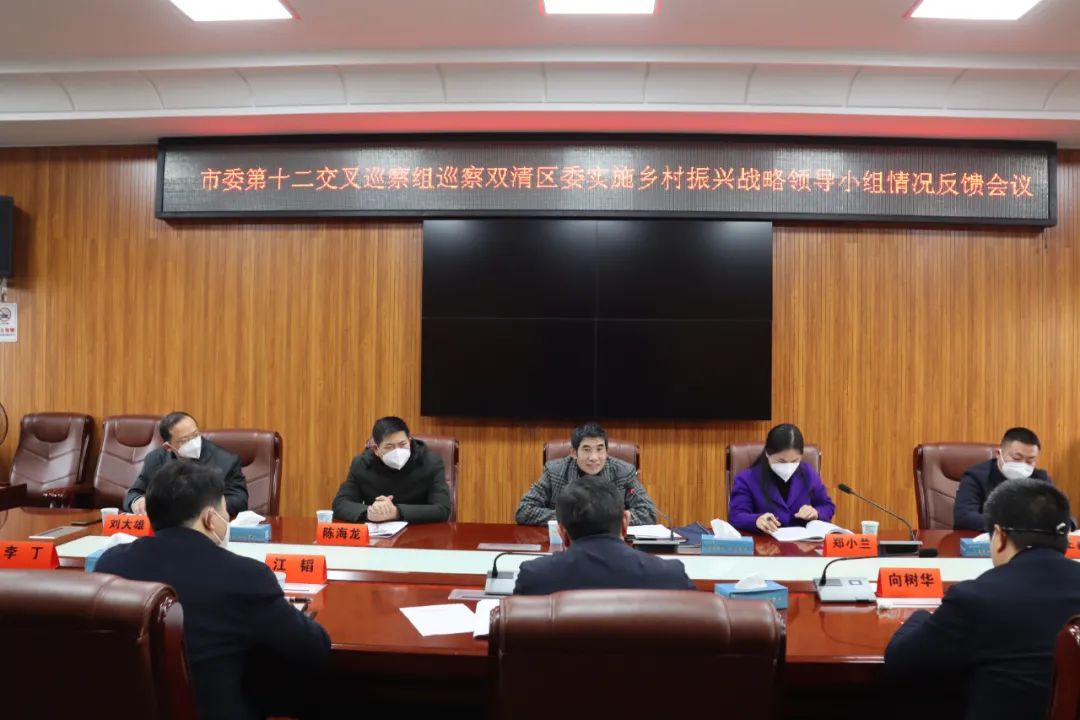 市委第十二交叉巡察组向双清区委实施乡村振兴战略领导小组反馈巡察情况_邵阳头条网