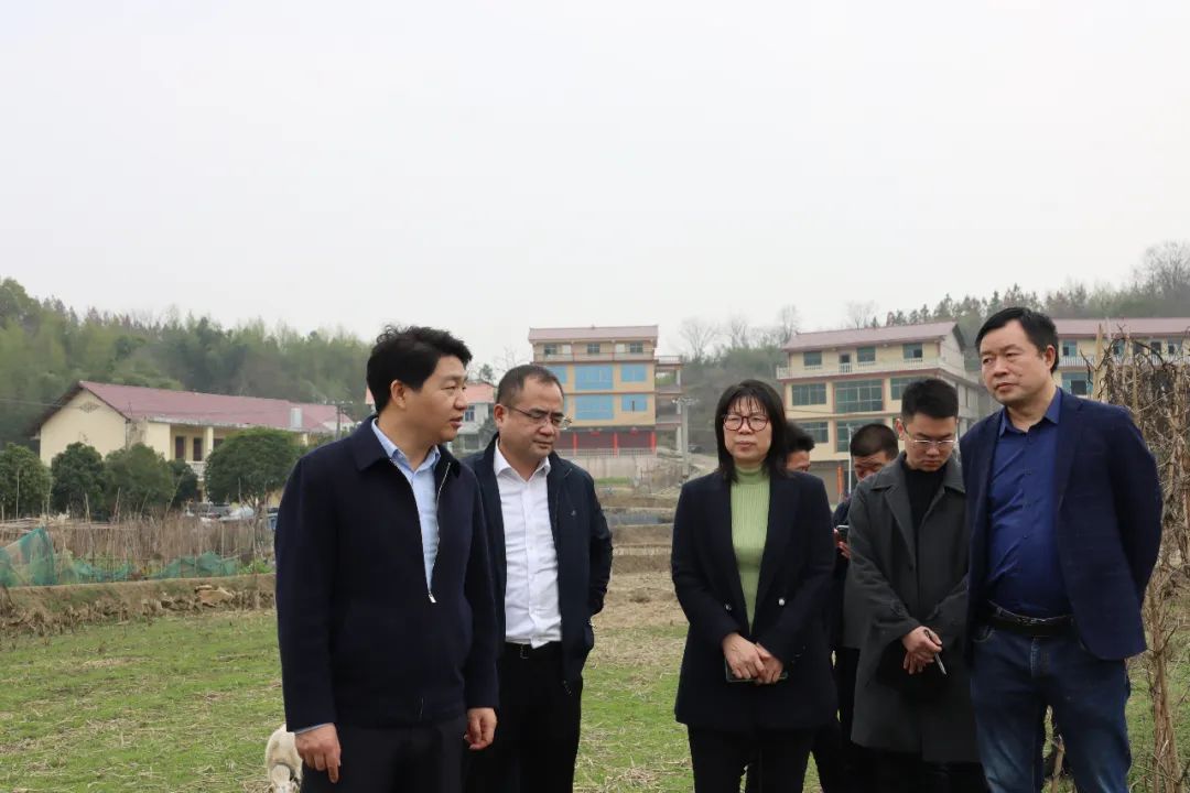 区领导带队实地调研春耕备耕工作_邵阳头条网