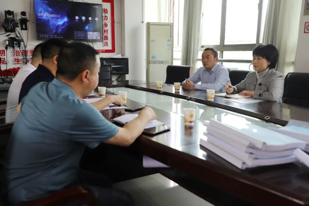 区委书记赵逢春到渡头桥镇督导检查市域社会治理和春耕生产工作_邵阳头条网
