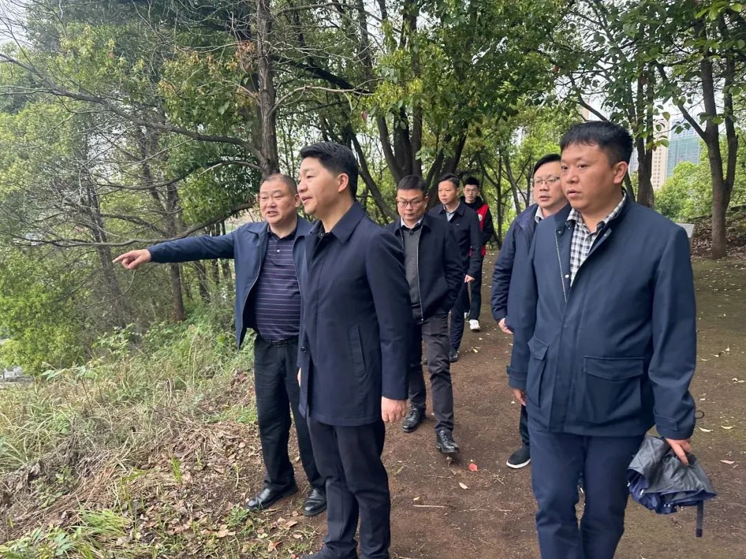 区领导带队督导文明祭扫、森林防火、农民工返乡创业等工作_邵阳头条网