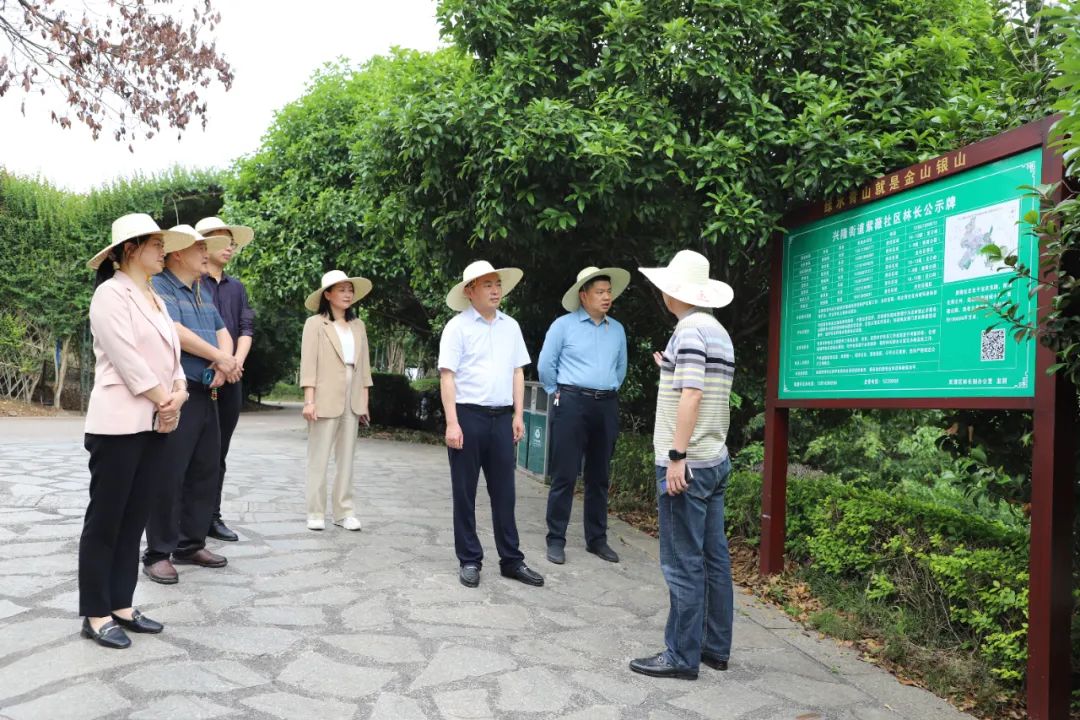 区委书记赵逢春深入一线开展巡田巡林和生态修复视察工作_邵阳头条网