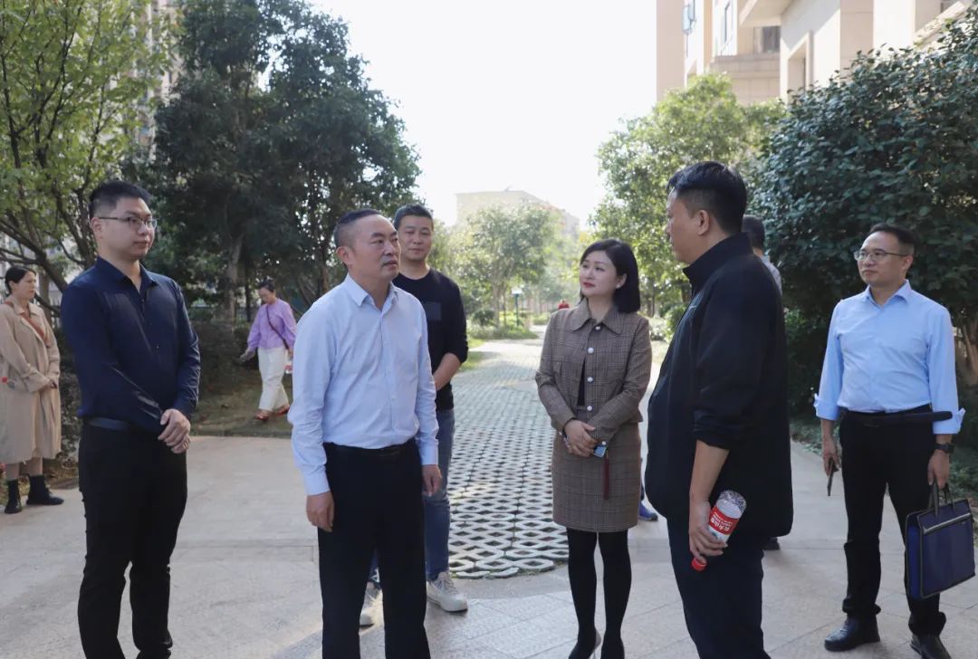 创文进行时|区委书记赵逢春督导全国文明城市创建工作_邵阳头条网