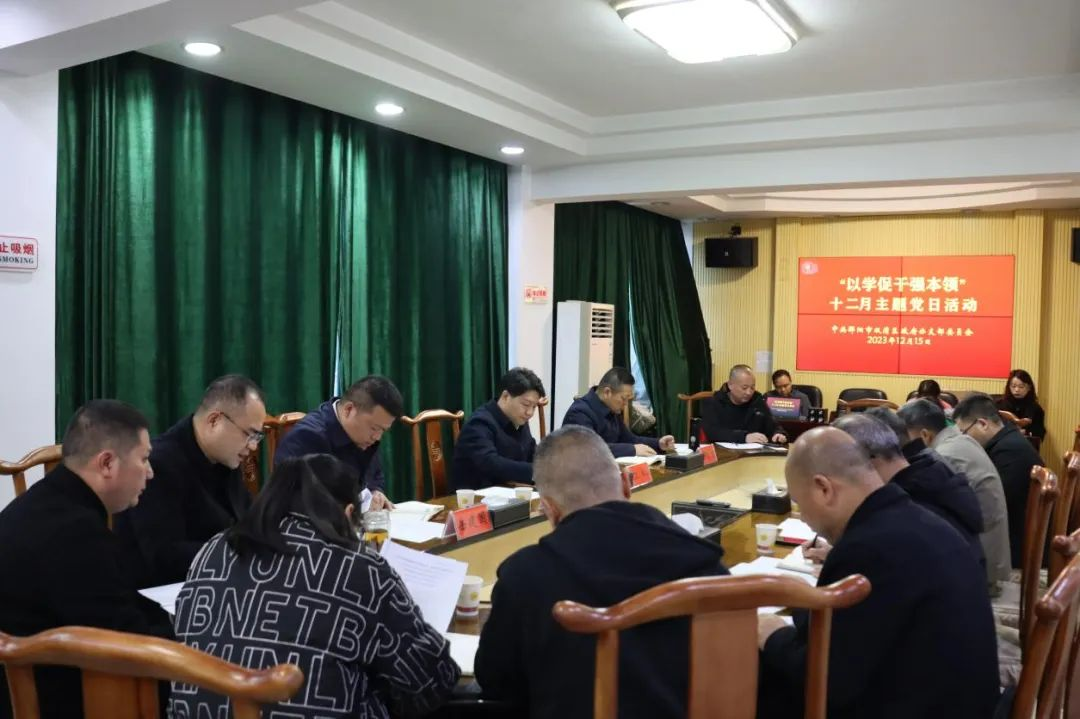 江韬参加区政府办主题党日活动_邵阳头条网