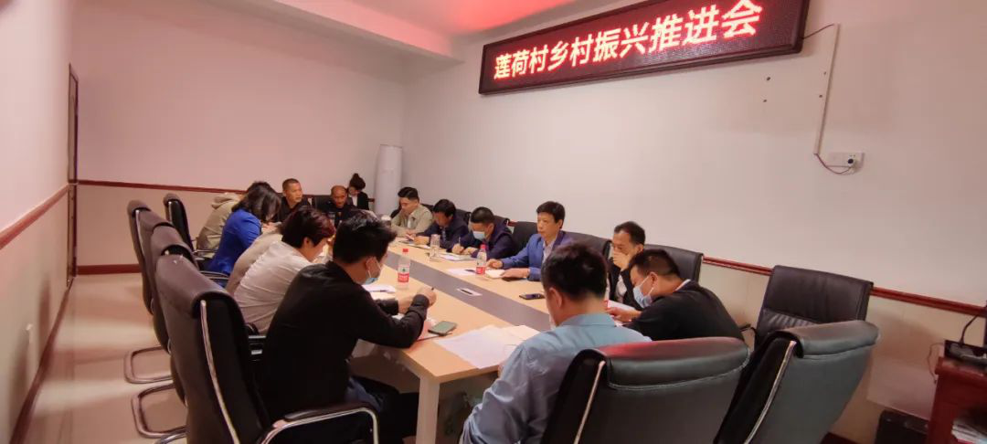乘势而上，把莲荷建设为更高质量的乡村振兴示范村_邵阳头条网