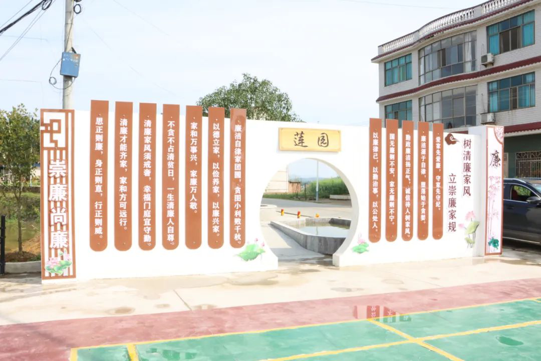 农业农村工作要交一份完美答卷|区委书记曾秦伟调研农业农村暨乡村振兴工作_邵阳头条网