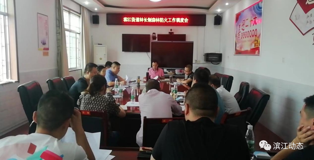滨江街道：召开林长制森林防火工作调度会_邵阳头条网