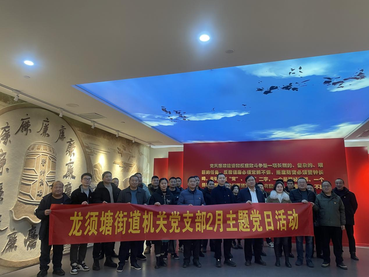 龙须塘街道机关党支部开展廉政教育主题党日活动_邵阳头条网