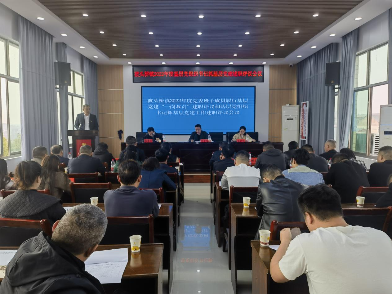 双清区渡头桥镇召开2022年度党委班子成员履行基层党建“一岗双责”暨党组织书记抓基层党建工作述职评议会议_邵阳头条网