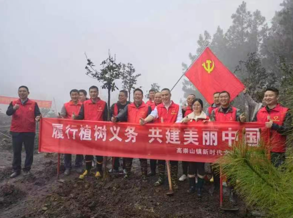 双清区高崇山镇 开展“履行植树义务 共建美丽中国”义务植树活动_邵阳头条网