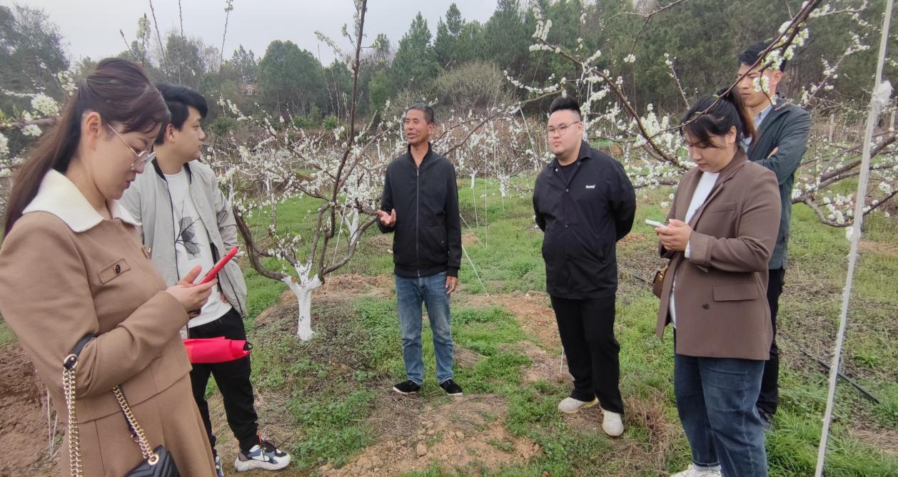 双清区火车站乡盘活用好农村“土专家” 发展绿色经济助力乡村振兴_邵商网