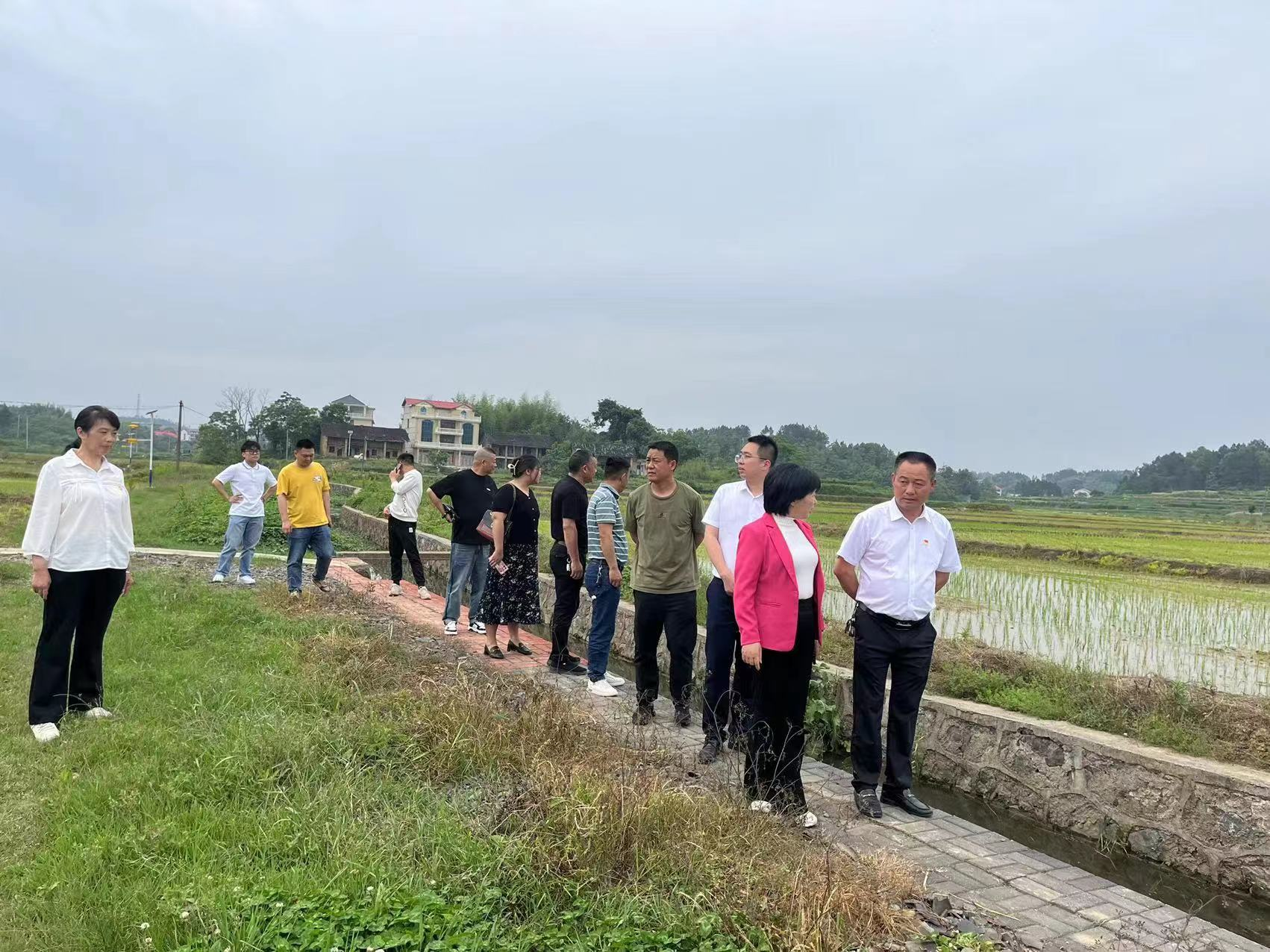 渡头桥镇：开展民主微监督，助推乡村大发展_邵阳头条网