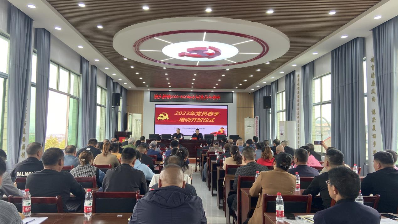 双清区渡头桥镇多举措高质量打造人才强镇_邵阳头条网