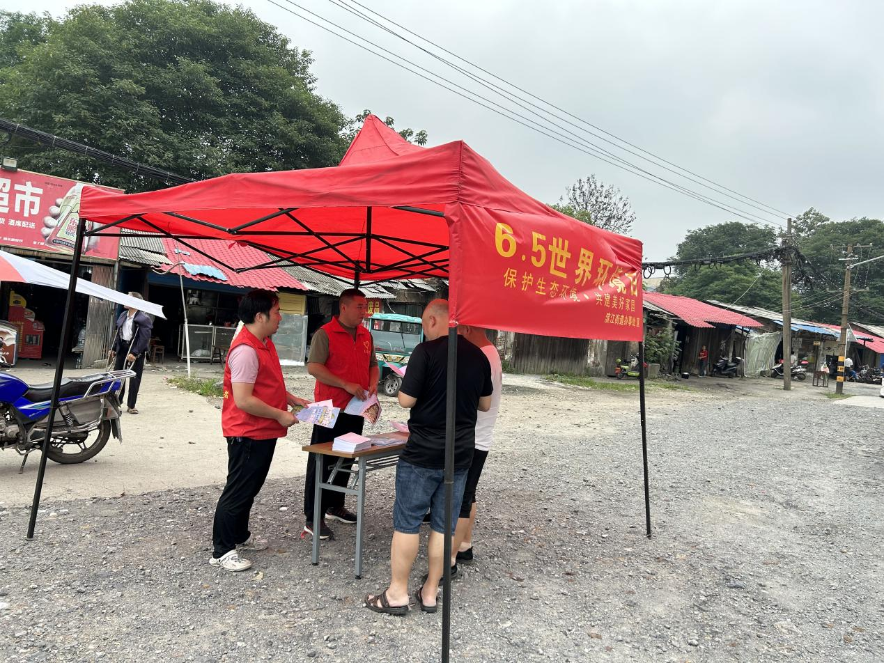 滨江街道开展“6.5”世界环境日主题宣传活动_邵阳头条网