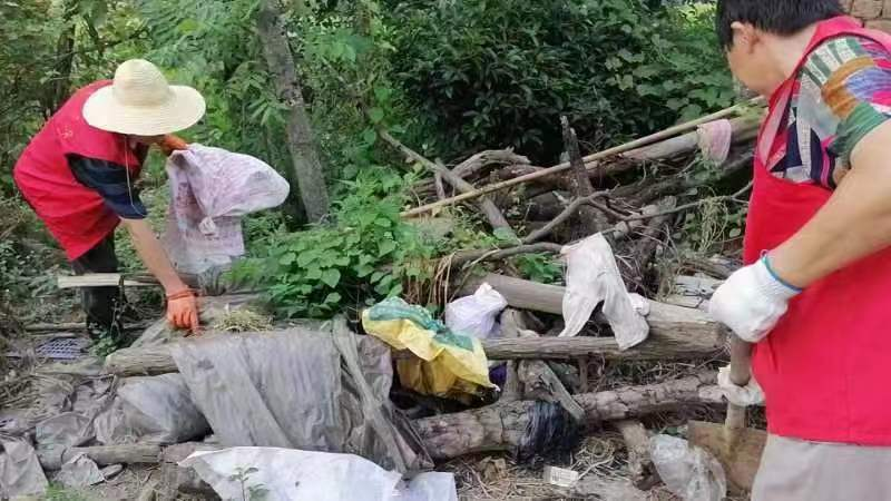 高崇山社区开展人居环境整治，让美丽乡村更宜居_邵阳头条网