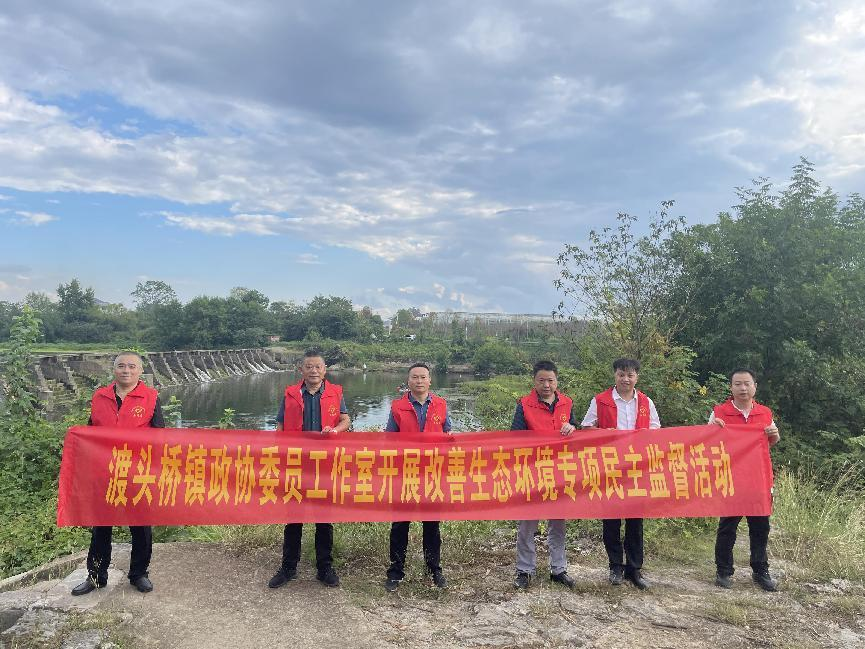 渡头桥镇政协委员工作室开展“改善生态环境专项民主监督”活动_邵阳头条网
