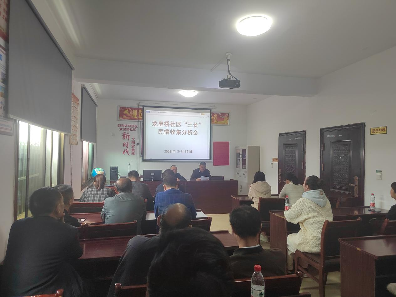 兴隆街道龙皇桥社区：“三长”强联系 党群心连心_邵阳头条网