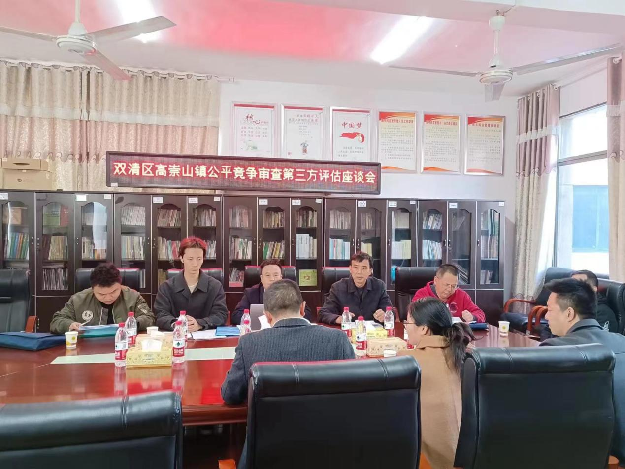 双清区公平竞争审查评估小组到高崇山镇指导工作_邵阳头条网