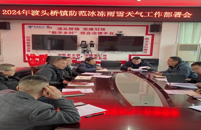 “以雪为令、闻雪而动”—— 渡头桥镇组织全镇开展清雪除冰行动_邵阳头条网