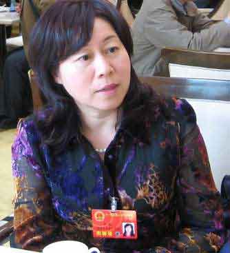 全国人大代表王晶