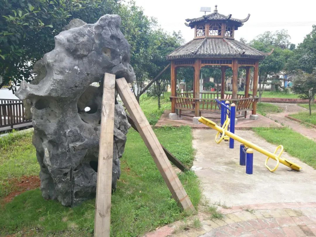 双清区园林绿化建设提质升级(图5)