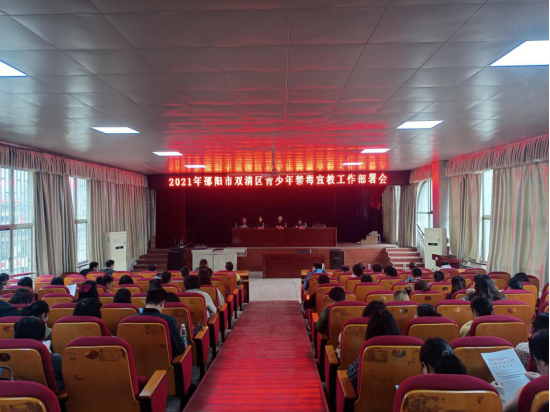 团双清区委召开“学党史 强信念 跟党走”学习教育大会暨双清区青少年禁毒宣教工作部署会(图1)