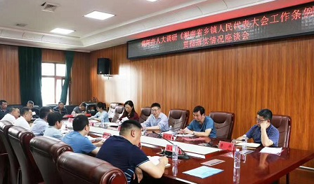市人大常委会赴双清区调研《湖南省乡镇人民代表大会工作条例》贯彻落实情况(图1)