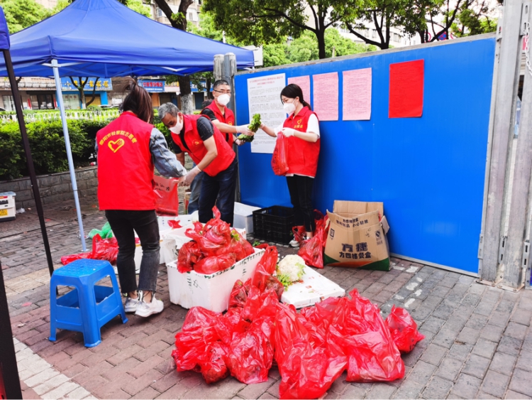 双清区委组织部(党校)党支部：“疫”无反顾 越是艰险越向前(图3)