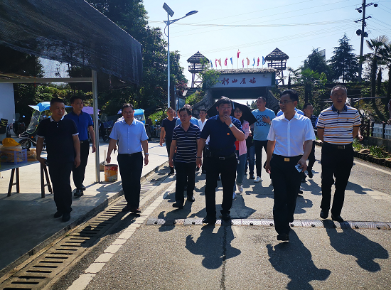 借他山之石   攻双清区“乡村振兴和美丽乡村建设”之玉(图2)
